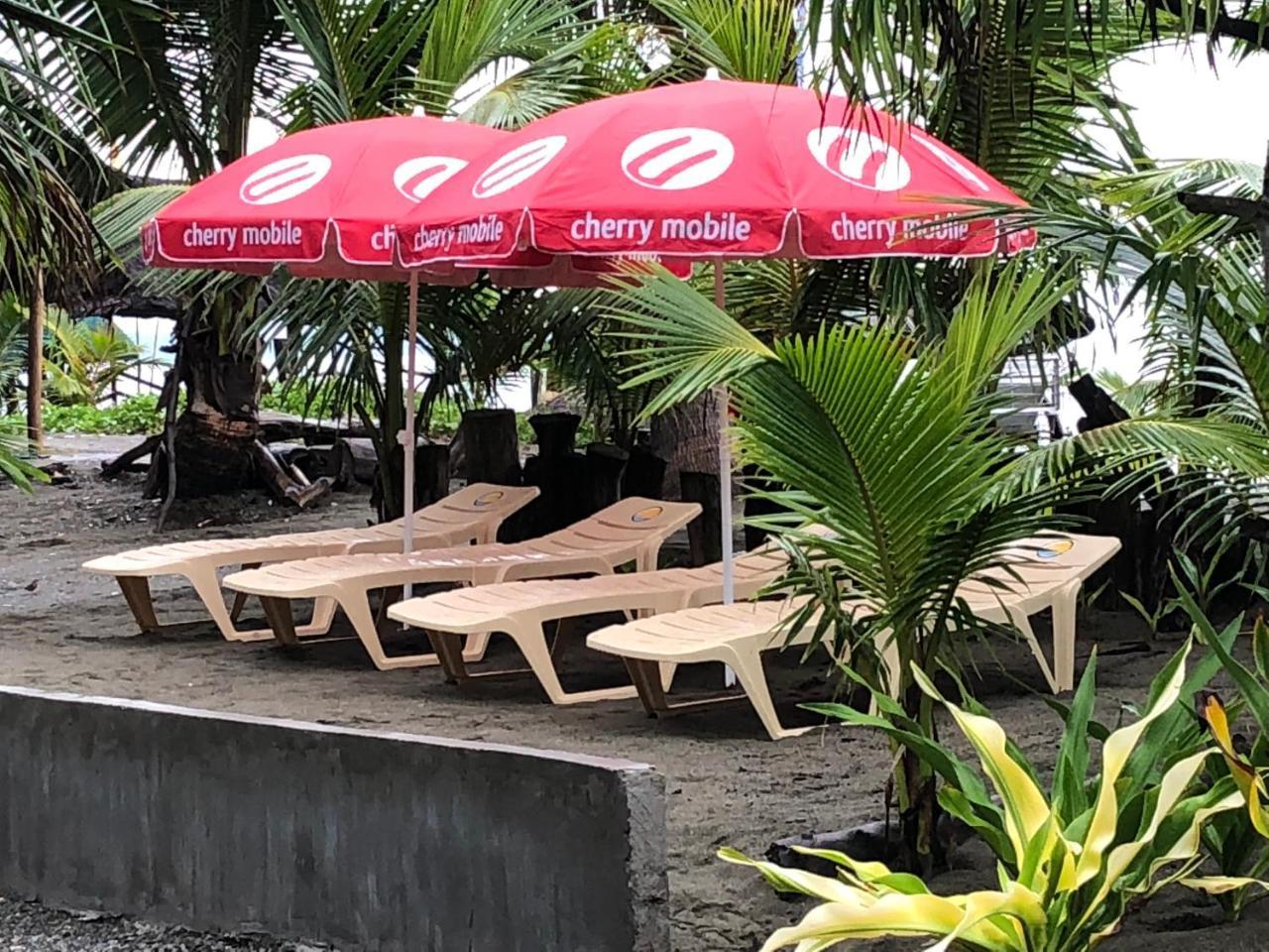 North Shore Surf Camp Hotel Baler Exterior photo